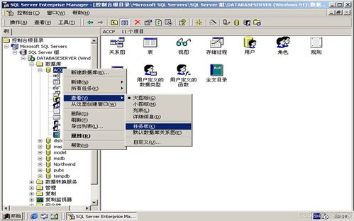 SQL Server 2000数据库核心操作与对象详解 从创建到备份及组件应用